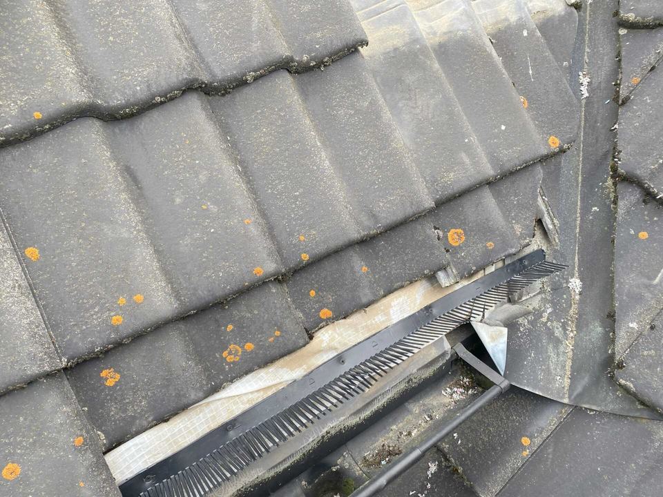 Tuiles grises couvertes de lichens orangés près d’un raccord en bas de pente